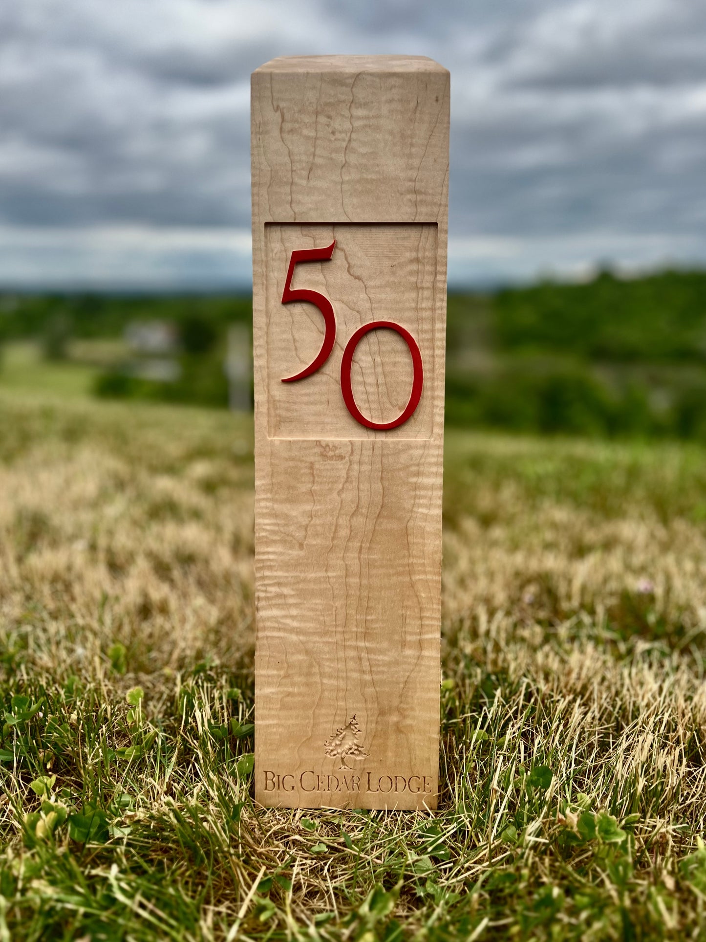 Wedge Woods
